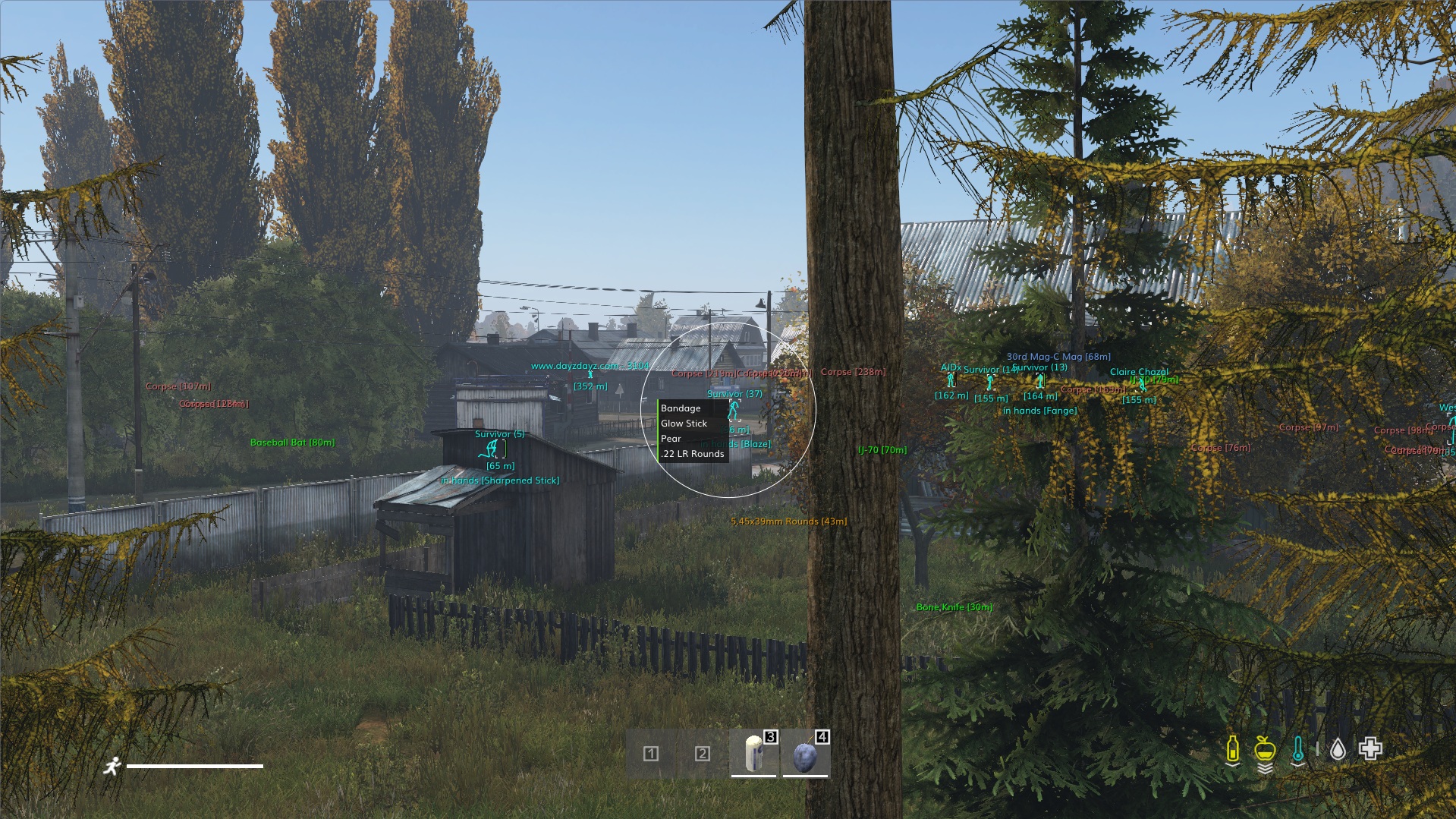 dayz cheat screenshot 4